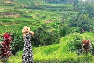 Ubud Highlights: Monkey Forest, Rice Terrace, Tirta Empul Temple