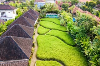 Abipraya Ubud